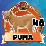 46-Puma-Guacharo-El-Certero